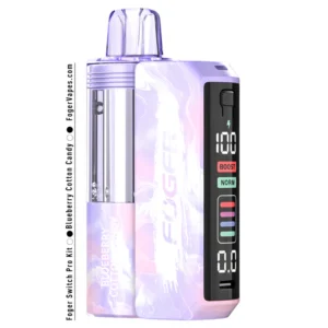 Home 13 Blueberry Cotton Candy Foger Switch Pro 30K Puffs Disposable Kit