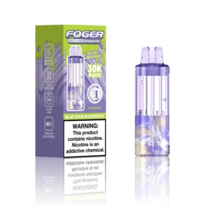 Blue Sour Raspberry Foger Switch Pro