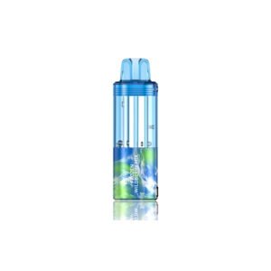 Frozen Wildberry Mix Foger Switch Pro