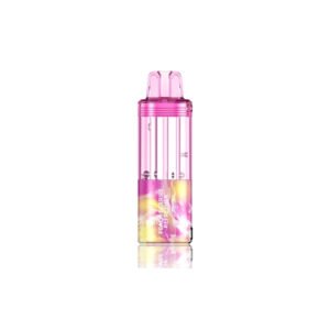 Peach Berries Refresher Foger Switch Pro